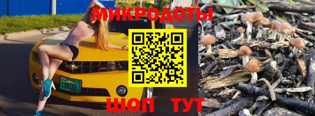 Псилоцибиновые грибы Psilocybe Морозовск