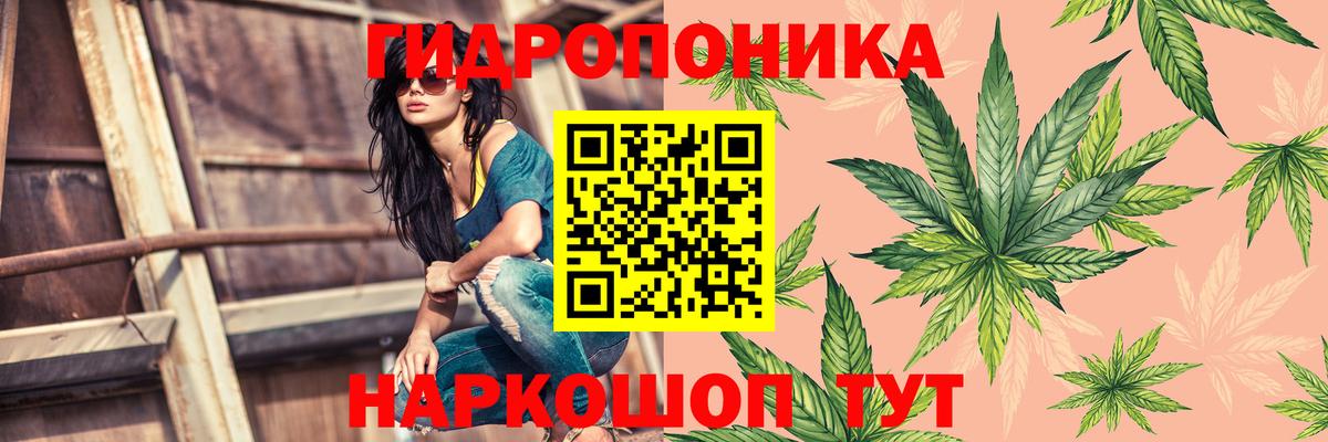 Бошки марихуана тримм  Бошки Шишки Ganja  Канабис Amnesia  Вход с VPN  Морозовск 